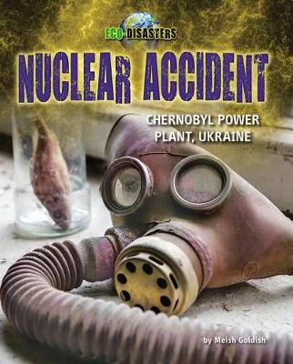 Cover of Nuclear Accident