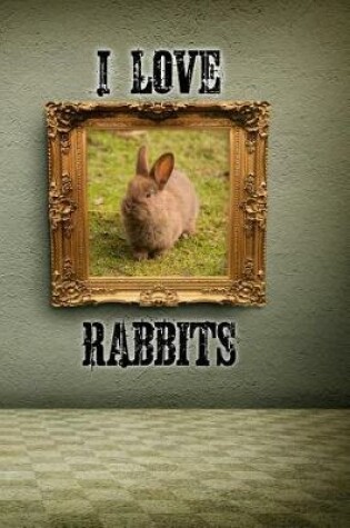 Cover of I Love Rabbits