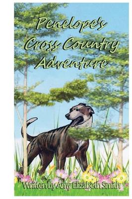 Book cover for Penelope's Cross Country Adventure