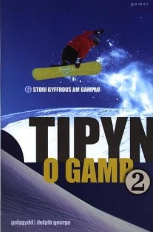 Cover of Tipyn o Gamp 2