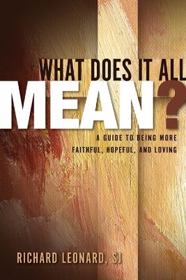 Book cover for What Does It All Mean?