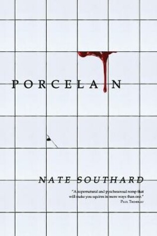 Cover of Porcelain