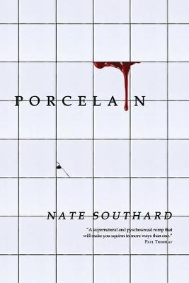 Book cover for Porcelain