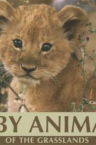 Cover of Baby Animals of the Grasslands