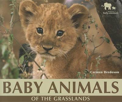 Cover of Baby Animals of the Grasslands