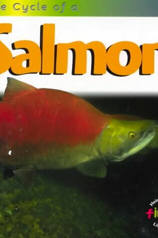 Cover of Life Cycle of a Salmon