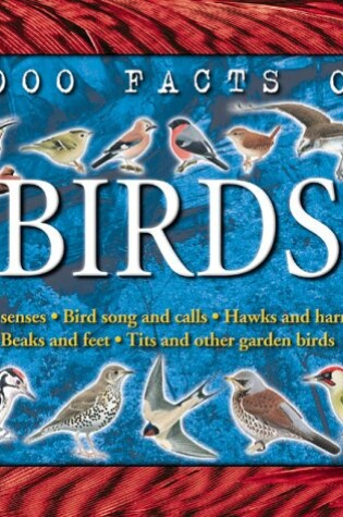 Cover of 1000 Facts on Birds