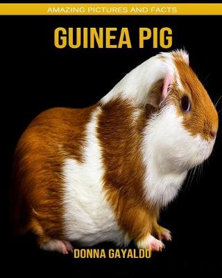 Book cover for Guinea pig