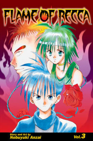 Cover of Flame of Recca Volume 3