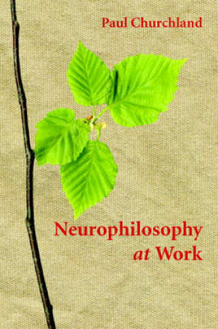 Cover of Neurophilosophy at Work