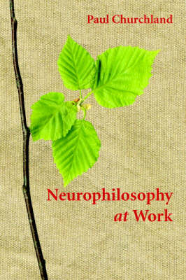 Book cover for Neurophilosophy at Work