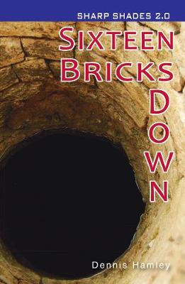 Cover of Sixteen Bricks Down  (Sharp Shades)