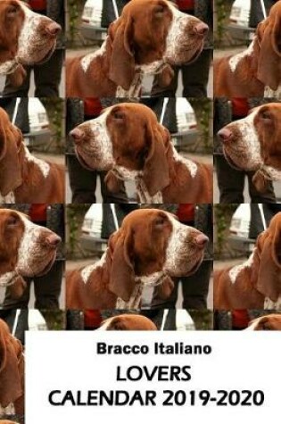 Cover of Bracco Italiano Lovers Calendar 2019-2020