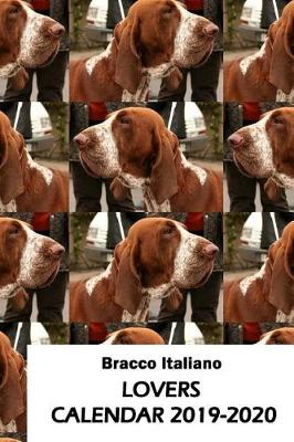 Book cover for Bracco Italiano Lovers Calendar 2019-2020