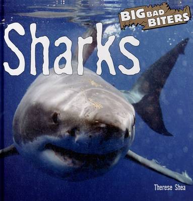 Cover of Sharks