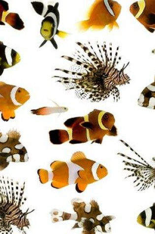 Cover of Lionfish and Clownfish Collage