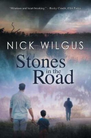 Cover of Stones in the Road