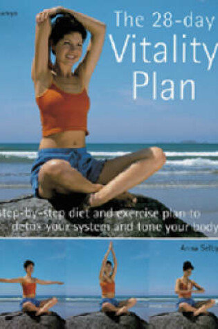 Cover of The 28-day Vitality Plan