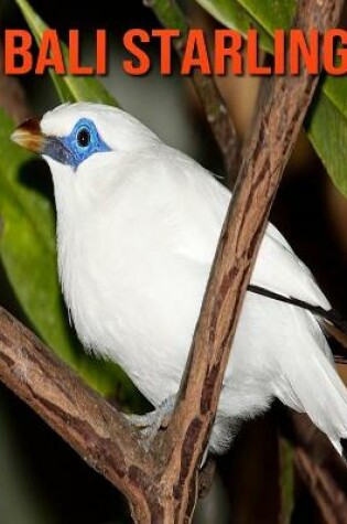 Cover of Bali Starling