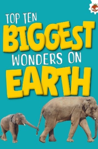 Cover of Top Ten Biggest Wonders on Earth