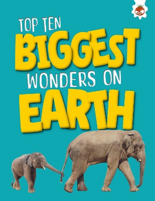 Cover of Top Ten Biggest Wonders on Earth