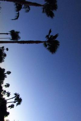 Book cover for A Beautiful Tropical South Texas Sunset