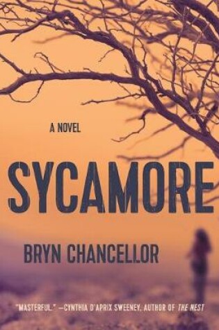 Cover of Sycamore