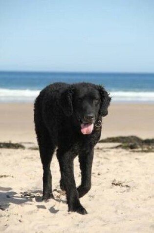 Cover of Happy Black Dog on the Beach Journal