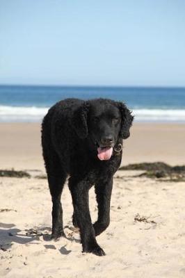 Book cover for Happy Black Dog on the Beach Journal