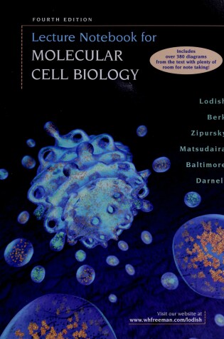 Cover of Molecular Cell Biology 4e Lec NB