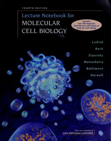 Book cover for Molecular Cell Biology 4e Lec NB