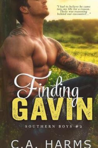 Cover of Finding Gavin