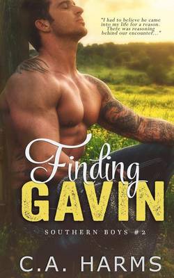 Book cover for Finding Gavin