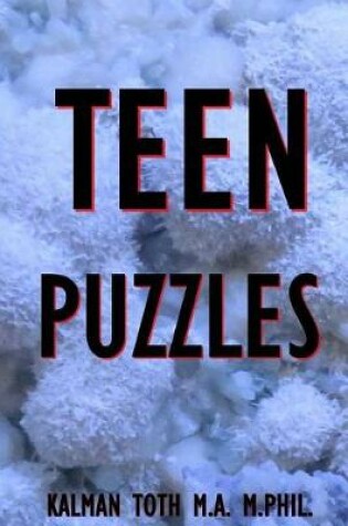 Cover of Teen Puzzles