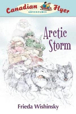 Book cover for Arctic Storm