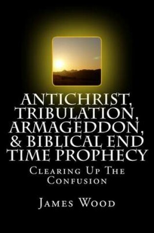 Cover of Antichrist, Tribulation, Armageddon, & Biblical End Time Prophecy