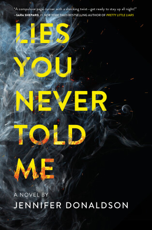 Book cover for Lies You Never Told Me