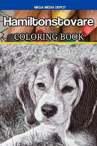 Cover of Hamiltonstovare Coloring Book