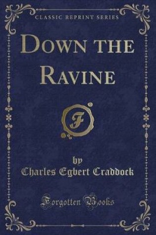 Cover of Down the Ravine (Classic Reprint)