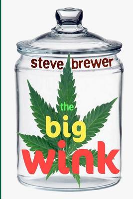 Book cover for The Big Wink