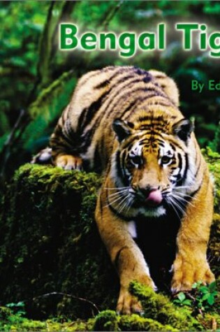 Cover of Bengal Tiger