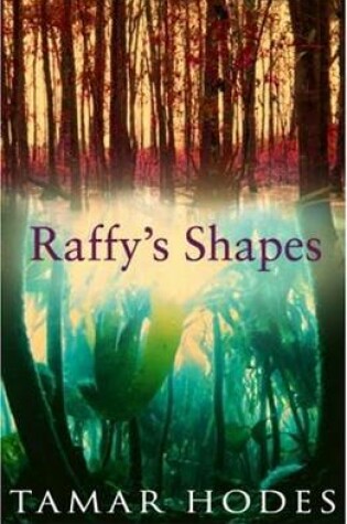 Cover of Raffy's Shapes