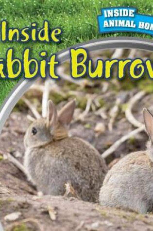 Cover of Inside Rabbit Burrows