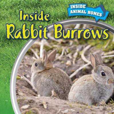 Book cover for Inside Rabbit Burrows