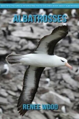 Cover of Albatrosses