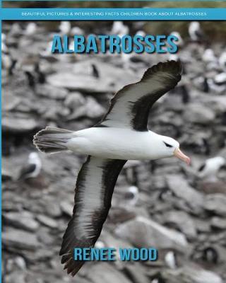 Book cover for Albatrosses