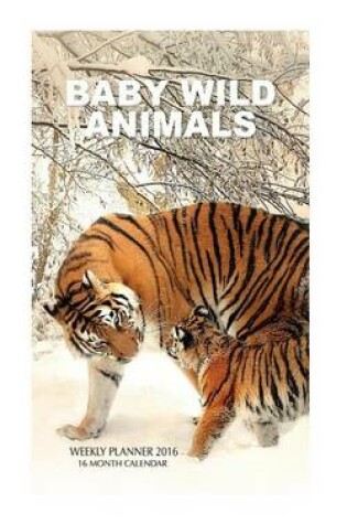Cover of Baby Wild Animals Weekly Planner 2016