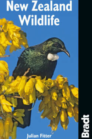 Cover of New Zealand Wildlife