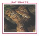 Cover of Rat Snakes