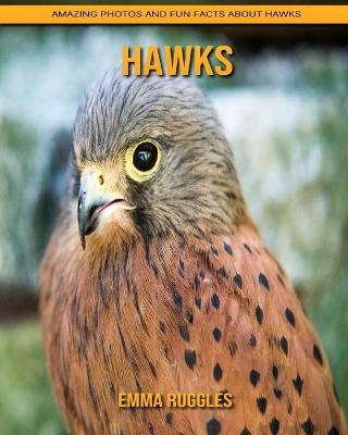 Book cover for Hawks